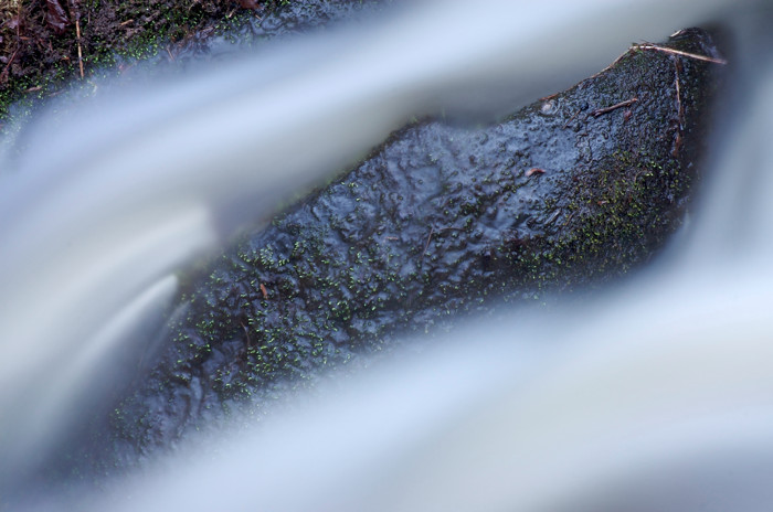 Wet Mossy Rock