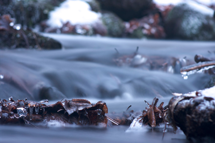 Icy Leaf Wall