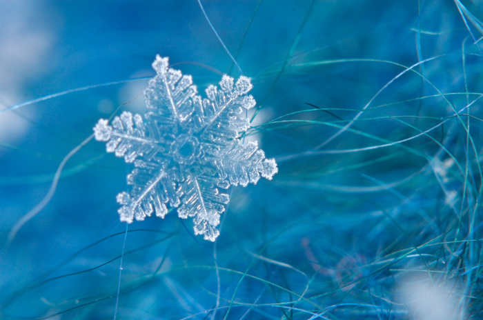 Snow Flake