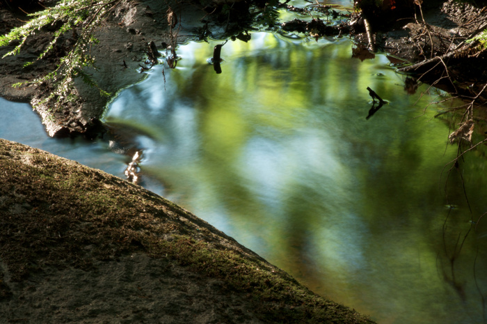 Green Reflections