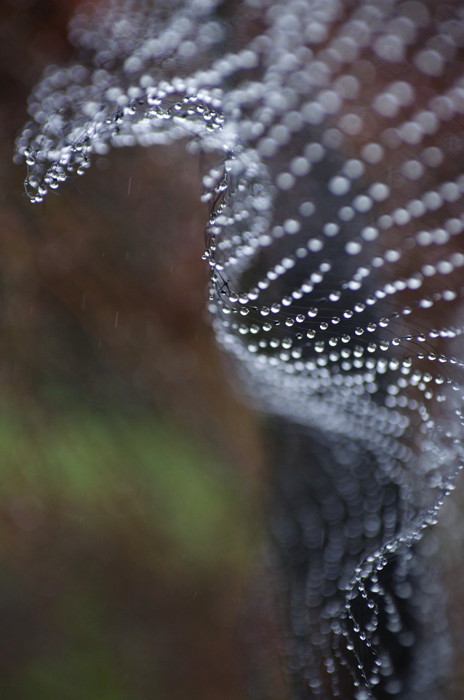 Wet Fence
