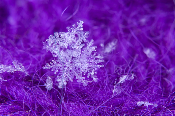 Double Snowflake