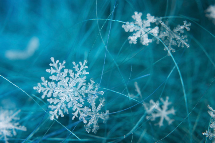 Snowflakes