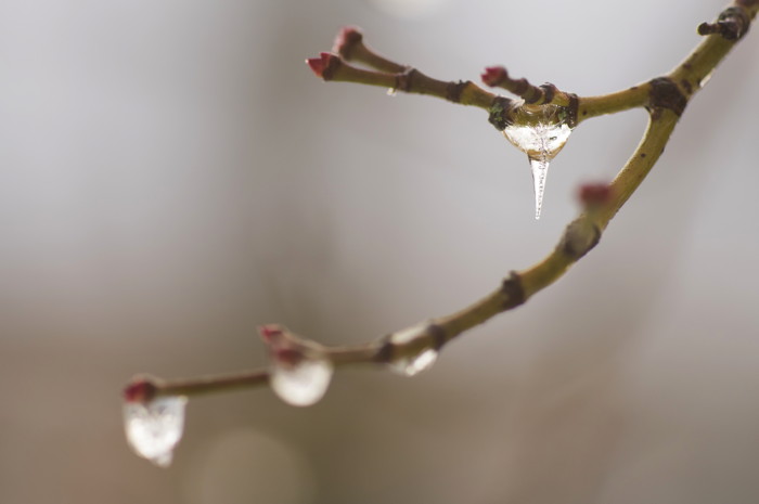 Frozen Drop