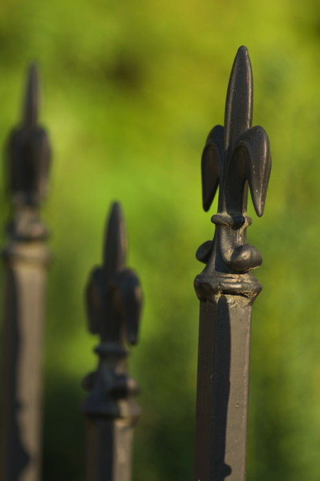 Fence Posts