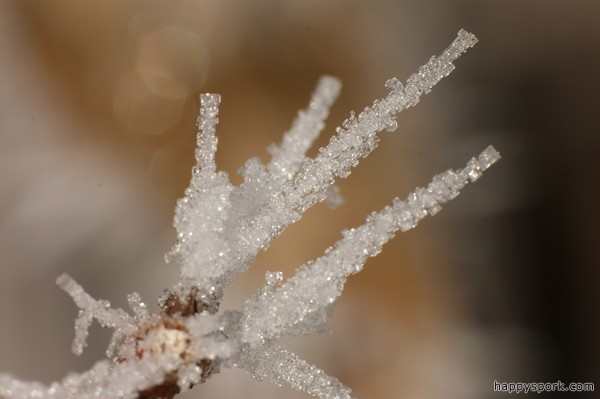 Frost