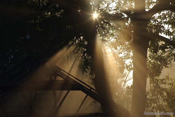 Morning sun rays