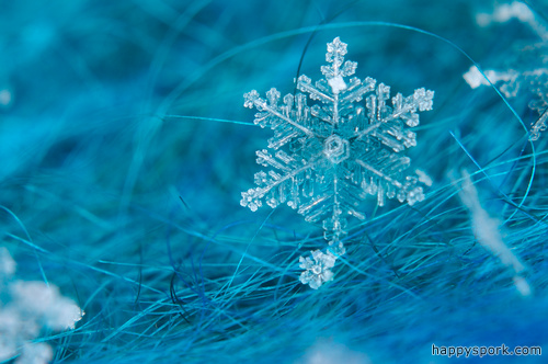 Snow Flake