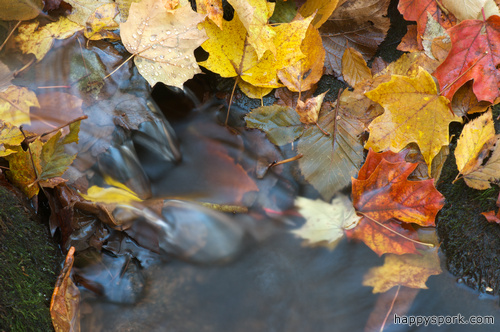 Mini Waterfall