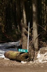 Upside Down 911 sign
