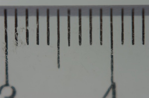 Ruler showing 1.4cm Ruler showing ~1.4cm. 100mm (with +5 diopter), f3.2, 1/200s.