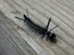 Caterpillar