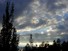 Clouds above Pear orchard