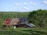 A Morning Glory barn