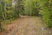 Autumn road