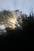Morning sun rays