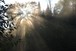 Sun rays through mist