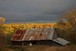A Morning Glory barn