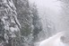Winter trail